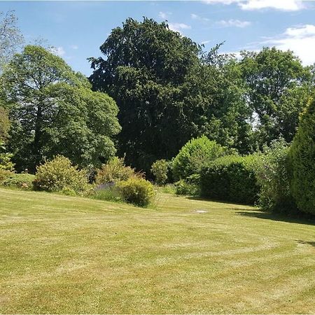 Cosy 2-Bed Property In Ashburton Dartmoor 牛顿阿伯特 外观 照片