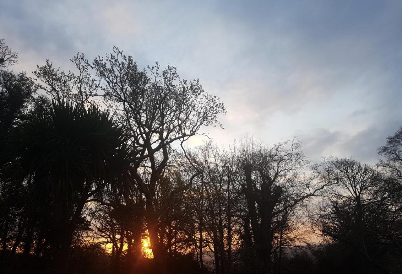 Cosy 2-Bed Property In Ashburton Dartmoor 牛顿阿伯特 外观 照片